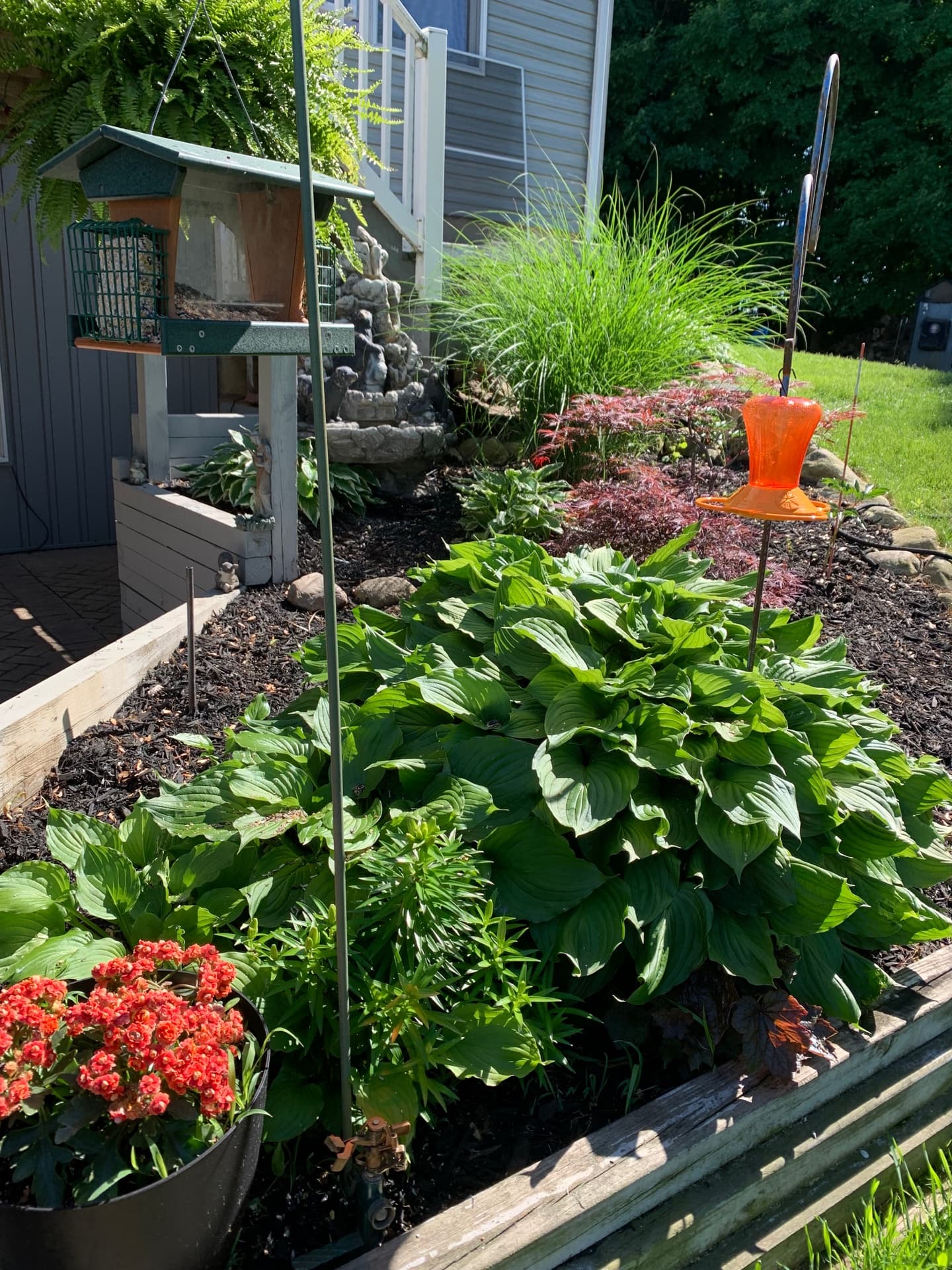 Garden flowers at Robin's Nest