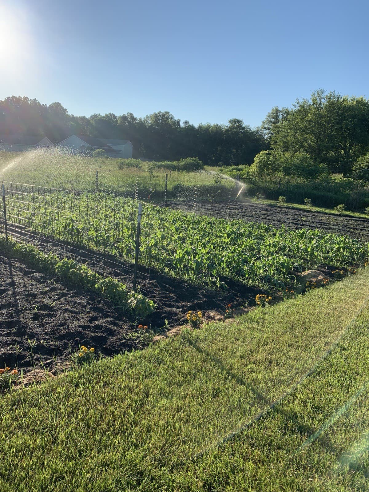 Three acres of Indiana countryside garden at Robin's Nest