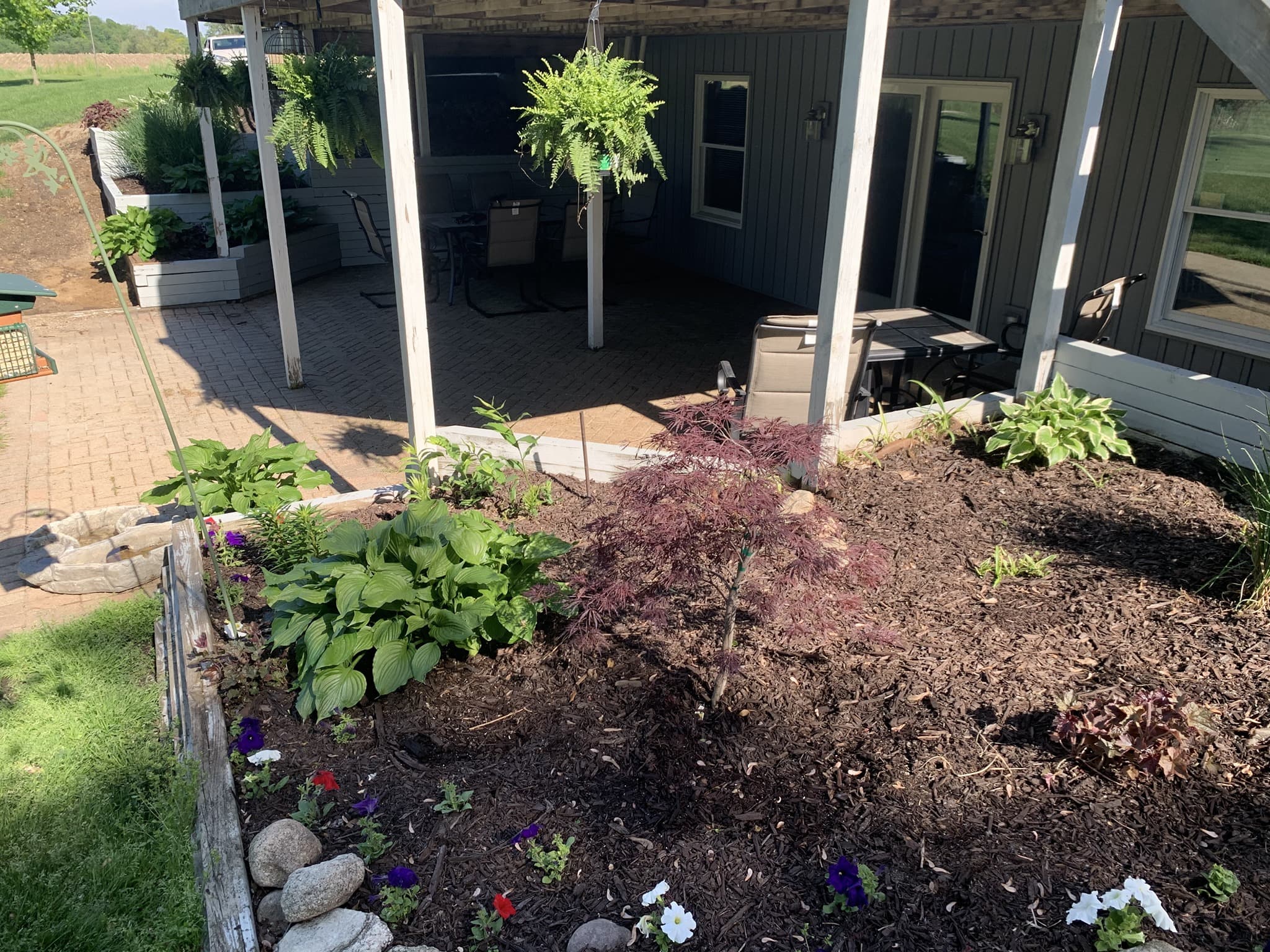 Patio and garden